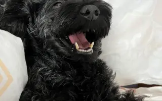 Pomôžte Kyrkovi pokračovať v liečbe vzácneho nádoru nadobličky