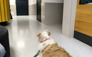 Pomôžte nám dať Dukovi šancu na ďalšie spoločné dni