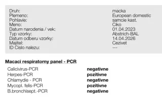 Pomohli ste Chlapcovi na diagnostiku a operáciu, aby mohol dýchať