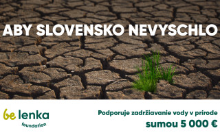 Aby Slovensko nevyschlo. Zachyťme dažďovú vodu v krajine