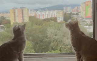 Pomôžme Fredovi a Georgeovi zostať doma