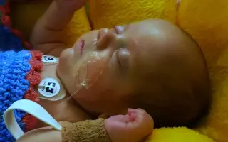 Pomôžte Albertovi brázdiť cyklotrasy s rodinou