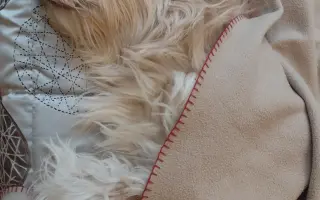 Pomôžme Lakymu pri liečbe rakoviny