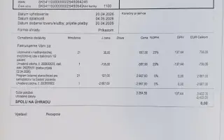 Postavme Terezku po dopravnej nehode opäť na nohy