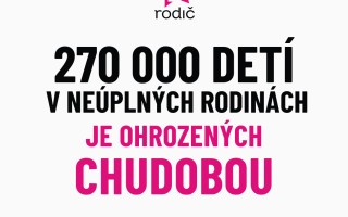 JEDEN RODIČ | Pomôžte nám zastaviť hlad v jednorodičovských rodinách