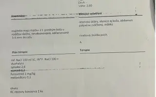 Pomôžme mladej Mňauke bojovať s vážnym FIP ochorením