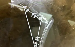 Podporte Braňa – psíka, ktorý bojuje o spravodlivosť aj o nový začiatok Podporte Braňa – psíka, ktorý bojuje o spravodlivosť aj o nový začiatok