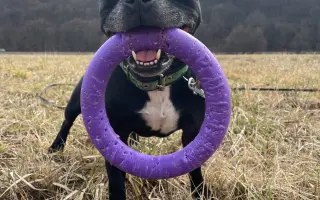 Pre Bessie, aby mohla ešte žiť naplno Pre Bessie, aby mohla ešte žiť naplno