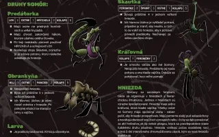 Hra Hybrid | Zaži šialené dobrodružstvá v bezpečí svojej fantázie