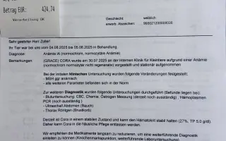 Pre Corku, ktorá už mesiac bojuje o život