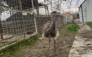 Pomôžte nám vybudováť farmu pre verejnosť