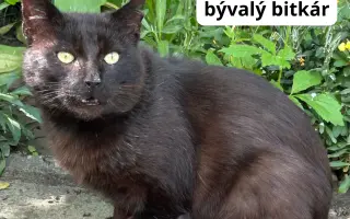 Pomôžte nám dlhodobo pomáhať pouličníkom