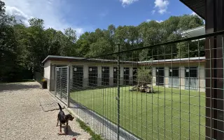 Pomôžme útulku v Ružomberku