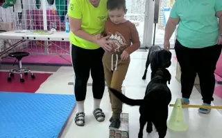 Darujme terapie pre Dávidka