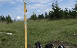 Darujme Benjimu nový život bez bolesti