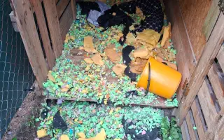 Pomôžte nám dať psom druhú šancu – prerábame Happy Paw’s