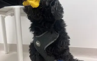 Pomôžte Kyrkovi pokračovať v liečbe vzácneho nádoru nadobličky