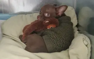 Darujme Lujze plnohodnotný život