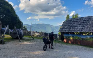 Pomôžte Albertovi brázdiť cyklotrasy s rodinou