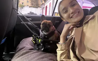 Podporte Anyu, fenku francúzskeho buldočka