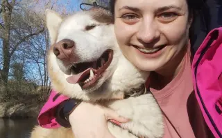 Keď labky slabnú, láska stále beží ďalej - pomôžme huskymu Hachiko