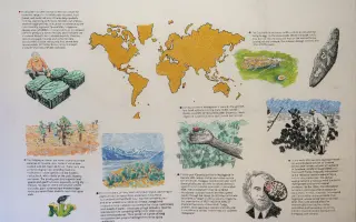 Podporte vydanie LP platne Ota Hudeca Songs for the Prickly Pear