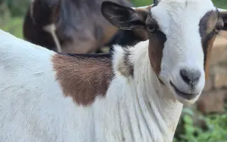 Pomohli ste ženám v Ugande k lepšej budúcnosti