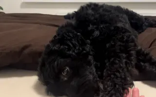 Pre Kyrka, ktorý bojuje s vážnou rakovinou