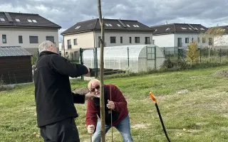 SadímeStromy: Posadíme 100 stromov každý rok