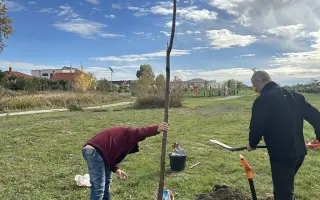 SadímeStromy: Posadíme 100 stromov každý rok