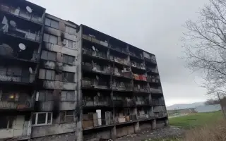 Pomôžme Jessiemu opäť sa postaviť na labky bez bolessti Pomôžme Jessiemu opäť sa postaviť na labky bez bolessti