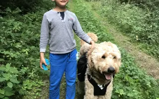 Pomôžme Bobovi opäť pomáhať