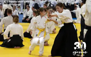 Pomôžme Slovenskej Aikido Asociácii získať vlastné TATAMI Pomôžme Slovenskej Aikido Asociácii získať vlastné TATAMI