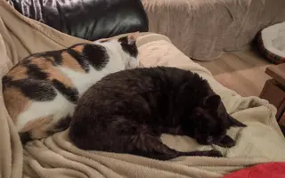 Laruška bojuje o život – pomôžme jej zvíťaziť nad bolesťou