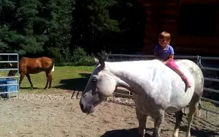 Pomôž projektu Ranč pod Sninským kameňom