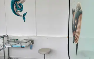 Pomôžme zabezpečiť pôrodný gauč na pôrodnicu Kramáre