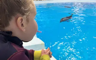 Pomôžte delfinoterapiou našim dievčatám k napredovaniu