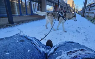 Nové krídla pre Fénixa: Aktívny vozík pre samostatný život
