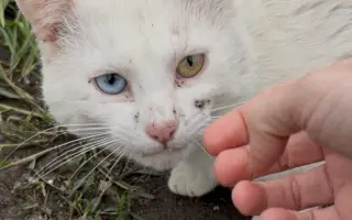 Pomôžte nám dlhodobo pomáhať pouličníkom