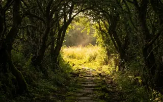 Keď visí život na vlásku - 3 skladby z temnoty do svetla.