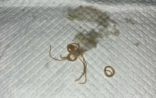 Pomôžte zabezpečiť koterce pre psíkov