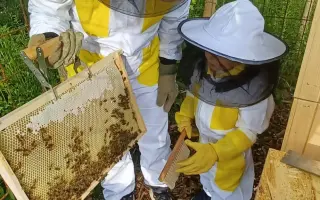 Druhá šanca pre včely | pomôžte mi vytvoriť špeciálnu Karanténnu včelnicu