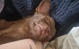 Darujme Lujze plnohodnotný život