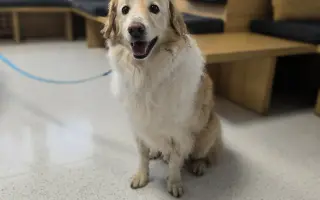 Pomôžte nám dať Dukovi šancu na ďalšie spoločné dni