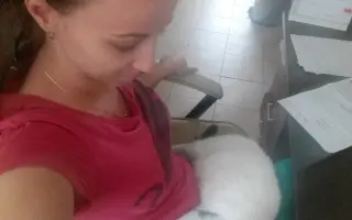 Pomôžme spolu túlavým mačkám na Kysuciach