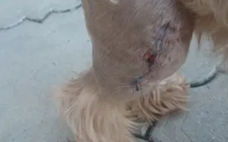 Pomôžme Charliemu získať späť kúsok života Pomôžme Charliemu získať späť kúsok života