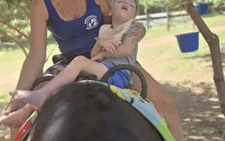 Dôstojný domov pre tichých terapeutov - liečia a menia sny