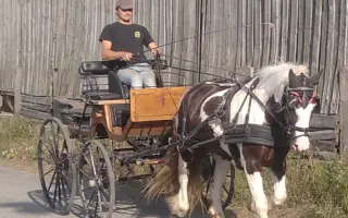 Pomôž nám vybudovať centrum pre kone