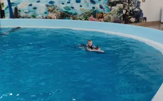 Pomôžme Petríkovi ísť na delfinoterapiu, ktorá mu pomohla otvoriť sa svetu