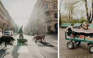 zMYSEL  |  Podporte knihu ktorá otvára tému duševných chorôb